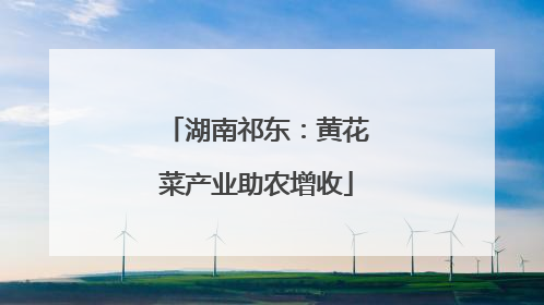 湖南祁东：黄花菜产业助农增收