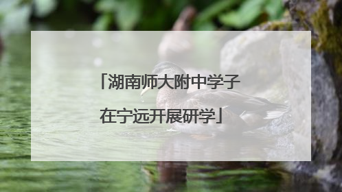 湖南师大附中学子在宁远开展研学