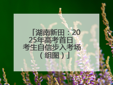 湖南新田：2025年高考首日 考生自信步入考场（组图）