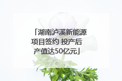 湖南泸溪新能源项目签约 投产后产值达50亿元
