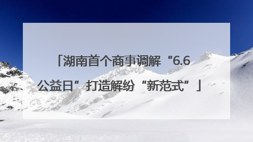 湖南首个商事调解“6.6 公益日”打造解纷“新范式”