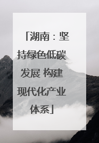 湖南：坚持绿色低碳发展 构建现代化产业体系