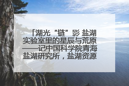 湖光“链”影 盐湖实验室里的星辰与荒原——记中国科学院青海盐湖研究所，盐湖资源化学实验室党总支书记、副主任刘忠