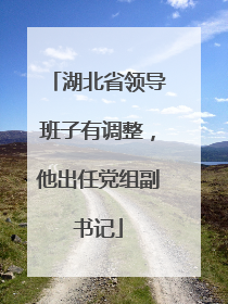 湖北省领导班子有调整，他出任党组副书记