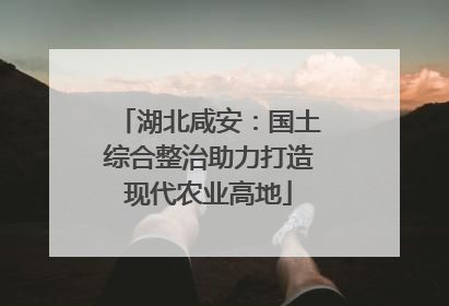 湖北咸安：国土综合整治助力打造现代农业高地