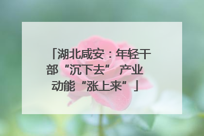 湖北咸安：年轻干部“沉下去” 产业动能“涨上来”