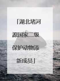 湖北堵河源国家二级保护动物添新成员