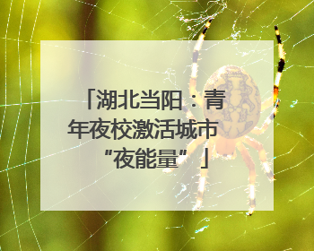 湖北当阳：青年夜校激活城市“夜能量”