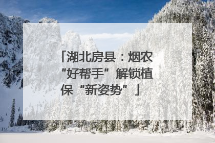 湖北房县：烟农“好帮手”解锁植保“新姿势”