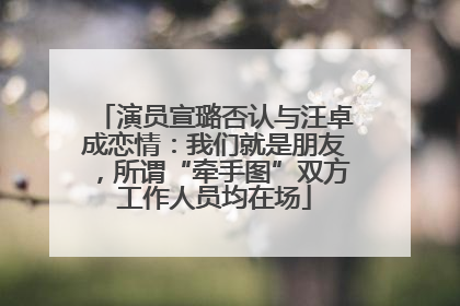 演员宣璐否认与汪卓成恋情：我们就是朋友，所谓“牵手图”双方工作人员均在场