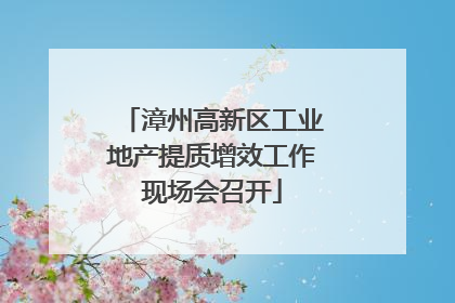 漳州高新区工业地产提质增效工作现场会召开