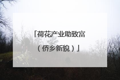 荷花产业助致富（侨乡新貌）