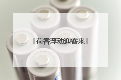 荷香浮动迎客来