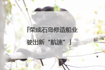 荣成石岛修造船业驶出新“航速”