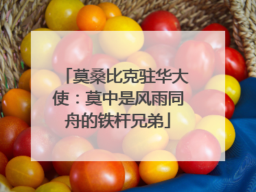 莫桑比克驻华大使：莫中是风雨同舟的铁杆兄弟