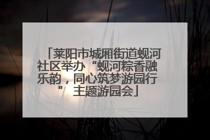 莱阳市城厢街道蚬河社区举办“蚬河粽香融乐韵，同心筑梦游园行” 主题游园会