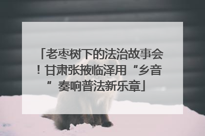 老枣树下的法治故事会！甘肃张掖临泽用“乡音”奏响普法新乐章