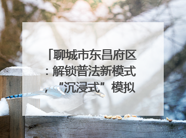 聊城市东昌府区：解锁普法新模式，“沉浸式”模拟法庭进社区