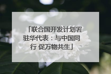 联合国开发计划署驻华代表：与中国同行 促万物共生
