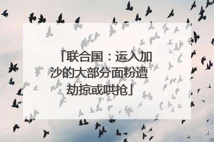 联合国：运入加沙的大部分面粉遭劫掠或哄抢