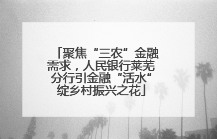 聚焦“三农”金融需求，人民银行莱芜分行引金融“活水”绽乡村振兴之花