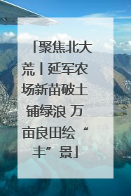 聚焦北大荒丨延军农场新苗破土铺绿浪 万亩良田绘“丰”景