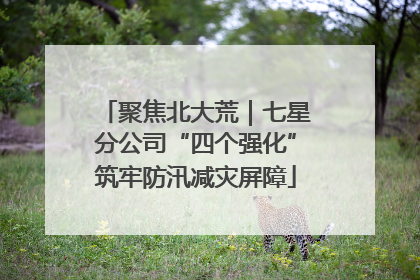 聚焦北大荒｜七星分公司“四个强化”筑牢防汛减灾屏障