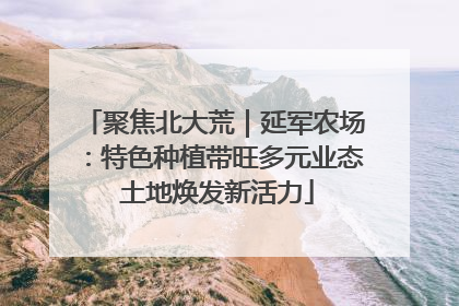 聚焦北大荒｜延军农场：特色种植带旺多元业态 土地焕发新活力
