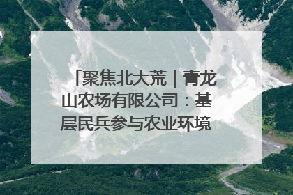 聚焦北大荒｜青龙山农场有限公司：基层民兵参与农业环境综合治理显效