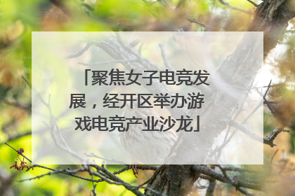 聚焦女子电竞发展，经开区举办游戏电竞产业沙龙
