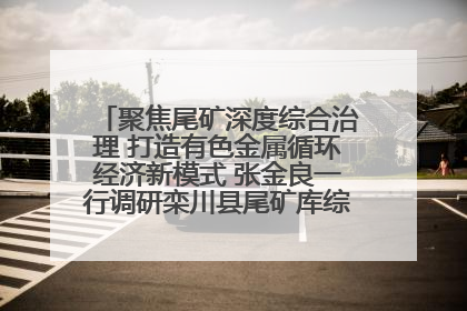 聚焦尾矿深度综合治理 打造有色金属循环经济新模式 张金良一行调研栾川县尾矿库综合治理工作