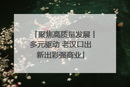 聚焦高质量发展丨多元驱动 老汉口出新出彩强商业