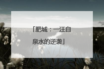 肥城：一汪自泉水的逆袭