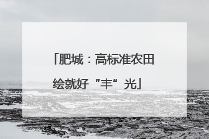 肥城：高标准农田绘就好“丰”光
