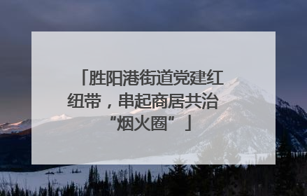 胜阳港街道党建红纽带，串起商居共治 “烟火圈”