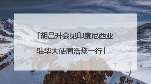 胡昌升会见印度尼西亚驻华大使周浩黎一行