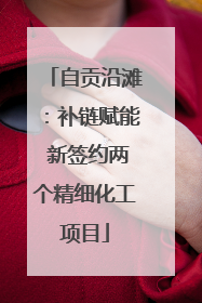 自贡沿滩：补链赋能 新签约两个精细化工项目