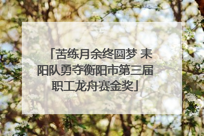 苦练月余终圆梦 耒阳队勇夺衡阳市第三届职工龙舟赛金奖