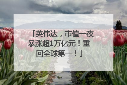 英伟达，市值一夜暴涨超1万亿元！重回全球第一！