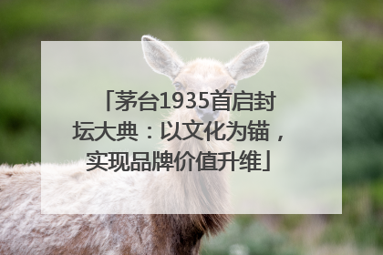 茅台1935首启封坛大典：以文化为锚，实现品牌价值升维