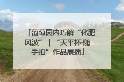 葡萄园内巧解“化肥风波”｜“天平杯·随手拍”作品展播