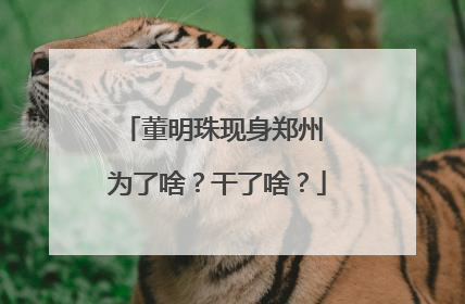 董明珠现身郑州 为了啥？干了啥？