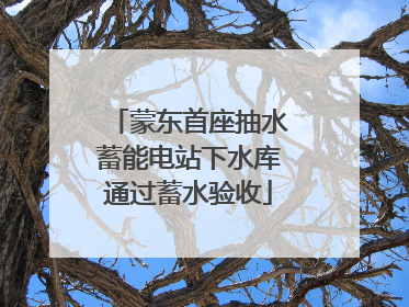 蒙东首座抽水蓄能电站下水库通过蓄水验收
