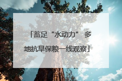 蓄足“水动力” 多地抗旱保粮一线观察