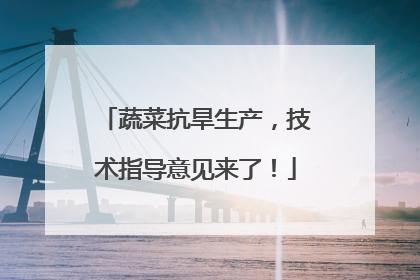 蔬菜抗旱生产，技术指导意见来了！