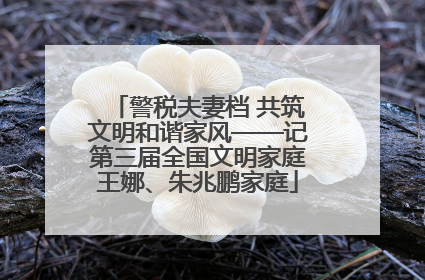 警税夫妻档 共筑文明和谐家风——记第三届全国文明家庭王娜、朱兆鹏家庭