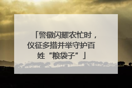 警徽闪耀农忙时，仪征多措并举守护百姓“粮袋子”