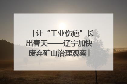 让“工业伤疤”长出春天——辽宁加快废弃矿山治理观察