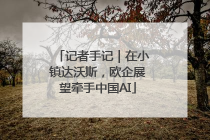 记者手记｜在小镇达沃斯，欧企展望牵手中国AI