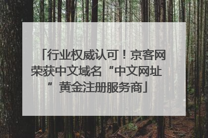 行业权威认可！京客网荣获中文域名“中文网址”黄金注册服务商